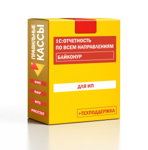 Отчетность_ИП_Байконур
